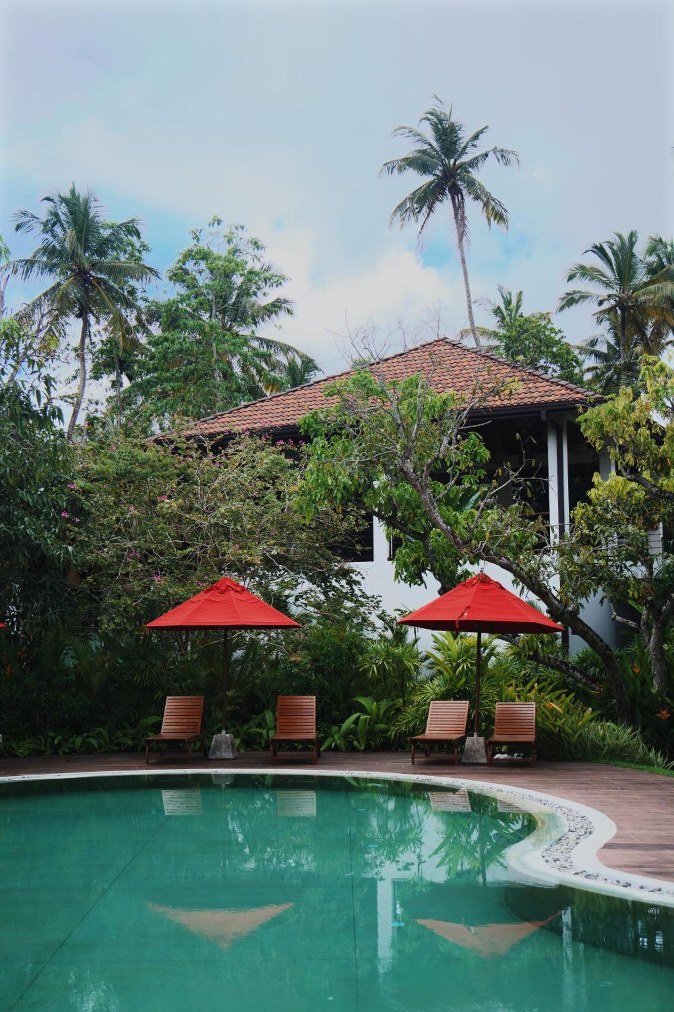 Palm Garden Ayurveda Resort アハンガマ エクステリア 写真